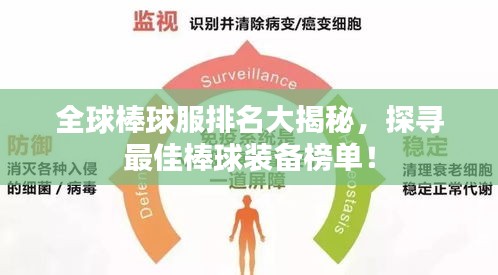 全球棒球服排名大揭秘，探尋最佳棒球裝備榜單！
