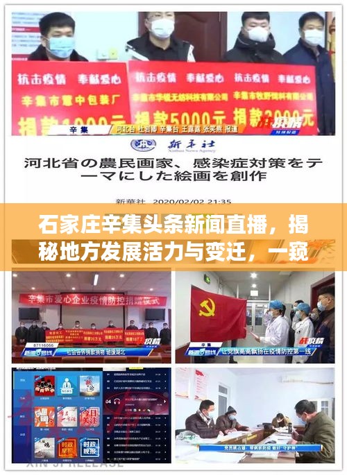 石家莊辛集頭條新聞直播，揭秘地方發(fā)展活力與變遷，一窺究竟！