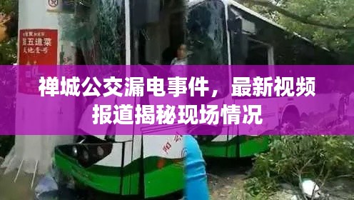 禪城公交漏電事件，最新視頻報道揭秘現(xiàn)場情況