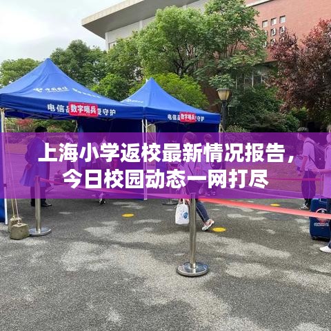 上海小學(xué)返校最新情況報(bào)告，今日校園動(dòng)態(tài)一網(wǎng)打盡