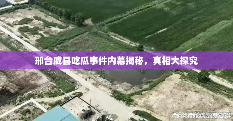 邢臺威縣吃瓜事件內(nèi)幕揭秘，真相大探究