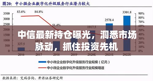 中信最新持倉(cāng)曝光，洞悉市場(chǎng)脈動(dòng)，抓住投資先機(jī)