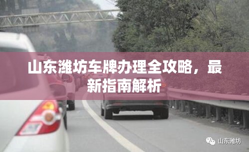 山東濰坊車牌辦理全攻略，最新指南解析