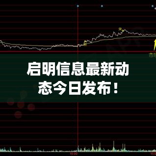 啟明信息最新動態(tài)今日發(fā)布！