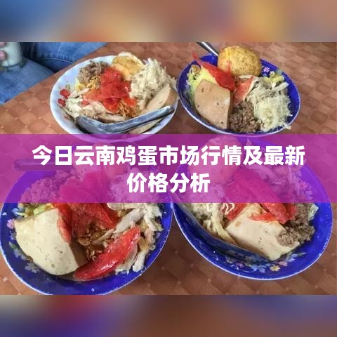 今日云南雞蛋市場(chǎng)行情及最新價(jià)格分析
