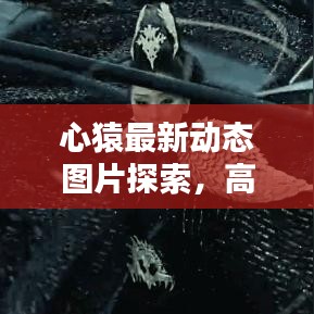 心猿最新動態(tài)圖片探索，高清無水印美圖一覽