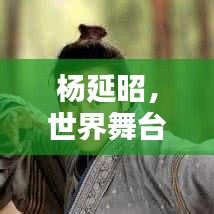 楊延昭，世界舞臺上的杰出成就與排名揭秘