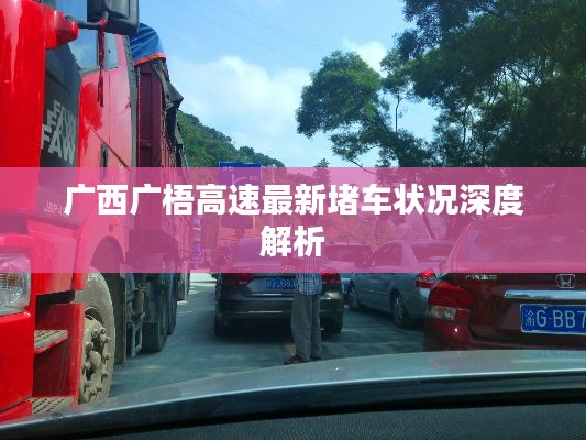 廣西廣梧高速最新堵車狀況深度解析