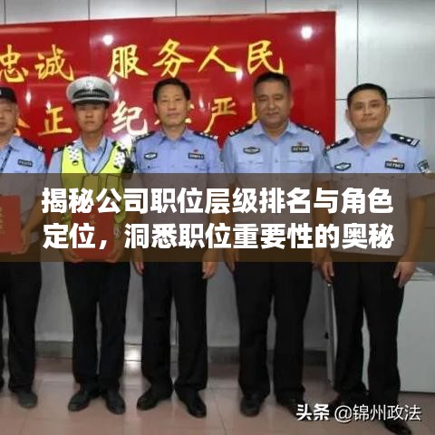 揭秘公司職位層級(jí)排名與角色定位，洞悉職位重要性的奧秘！