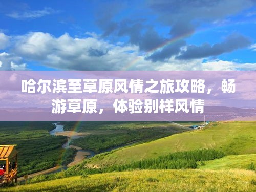哈爾濱至草原風(fēng)情之旅攻略，暢游草原，體驗(yàn)別樣風(fēng)情