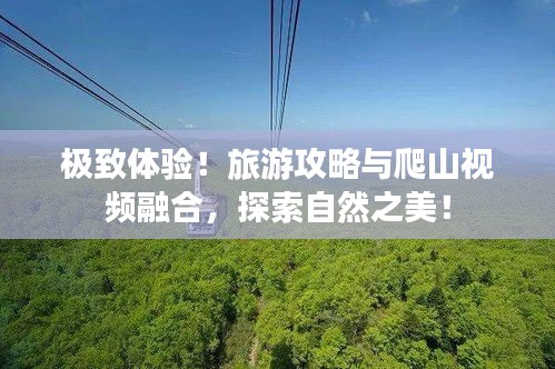 極致體驗！旅游攻略與爬山視頻融合，探索自然之美！