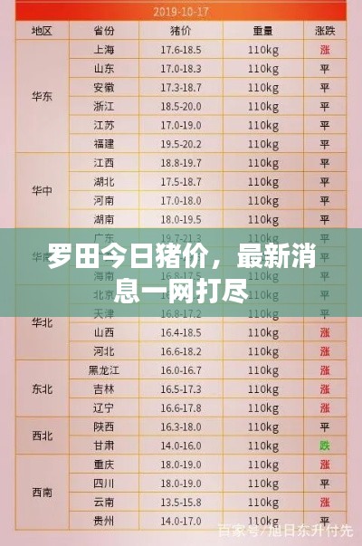 羅田今日豬價，最新消息一網打盡