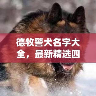 小鳥依人 第2頁