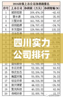 四川實(shí)力公司排行榜TOP，你知道哪些公司上榜了嗎？