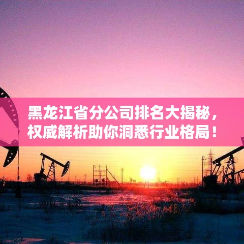 黑龍江省分公司排名大揭秘，權(quán)威解析助你洞悉行業(yè)格局！