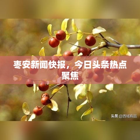 棗安新聞快報(bào)，今日頭條熱點(diǎn)聚焦