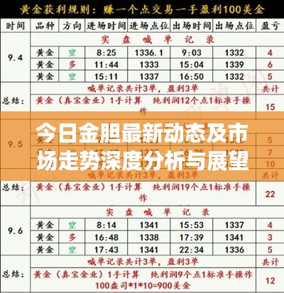今日金膽最新動(dòng)態(tài)及市場(chǎng)走勢(shì)深度分析與展望