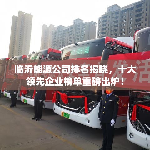 臨沂能源公司排名揭曉，十大領(lǐng)先企業(yè)榜單重磅出爐！