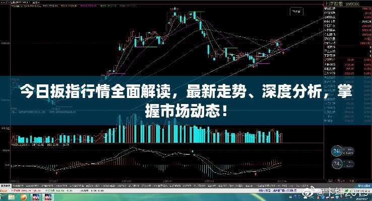 今日扳指行情全面解讀，最新走勢、深度分析，掌握市場動態(tài)！
