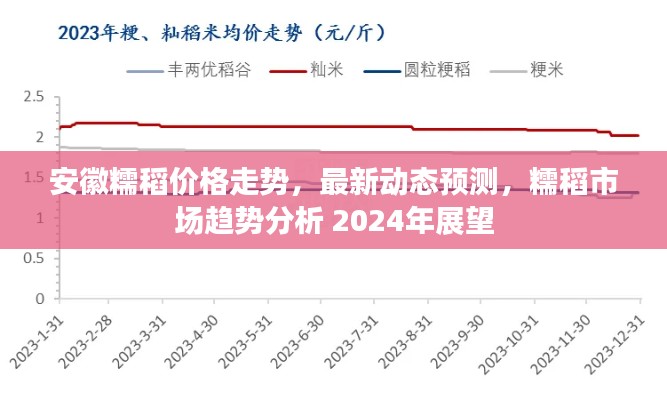 安徽糯稻價格走勢，最新動態(tài)預(yù)測，糯稻市場趨勢分析 2024年展望