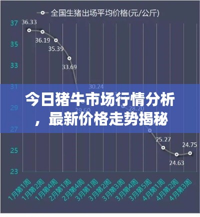 今日豬牛市場行情分析，最新價格走勢揭秘
