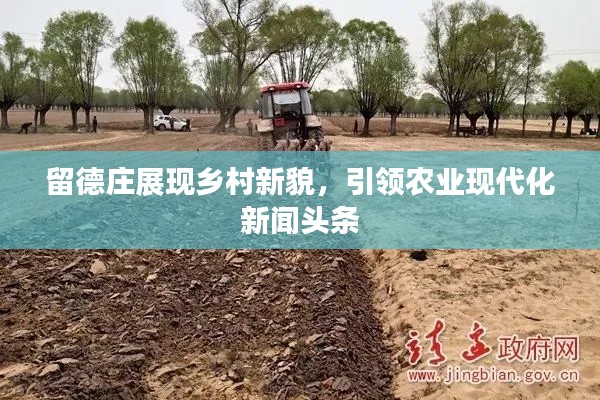 留德莊展現(xiàn)鄉(xiāng)村新貌，引領(lǐng)農(nóng)業(yè)現(xiàn)代化新聞頭條