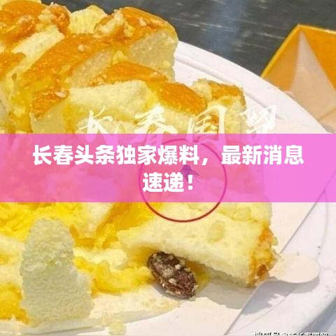 展翅欲飛 第2頁(yè)