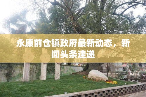 永康前倉鎮(zhèn)政府最新動(dòng)態(tài)，新聞?lì)^條速遞