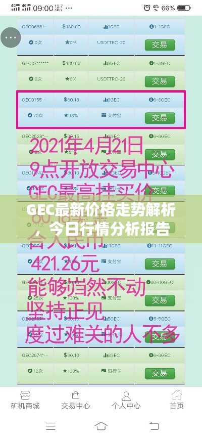 GEC最新價格走勢解析，今日行情分析報告