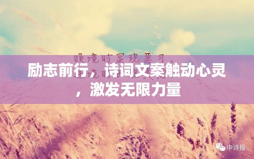 勵(lì)志前行，詩(shī)詞文案觸動(dòng)心靈，激發(fā)無(wú)限力量
