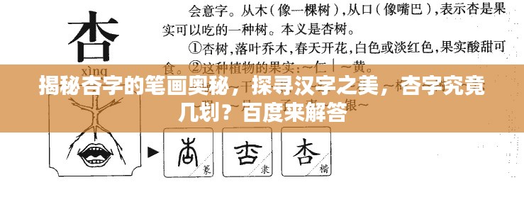 揭秘杏字的筆畫奧秘，探尋漢字之美，杏字究竟幾劃？百度來解答
