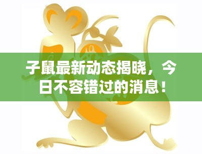 子鼠最新動態(tài)揭曉，今日不容錯過的消息！