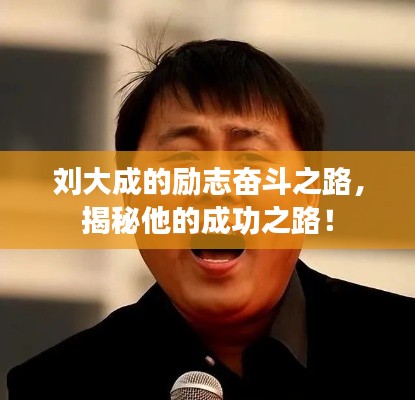 劉大成的勵(lì)志奮斗之路，揭秘他的成功之路！