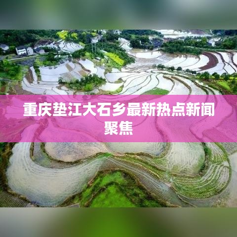 重慶墊江大石鄉(xiāng)最新熱點(diǎn)新聞聚焦