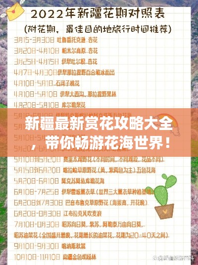 新疆最新賞花攻略大全，帶你暢游花海世界！