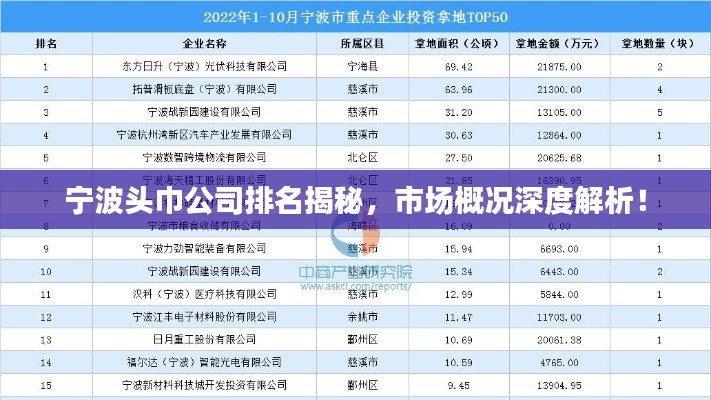 寧波頭巾公司排名揭秘，市場概況深度解析！