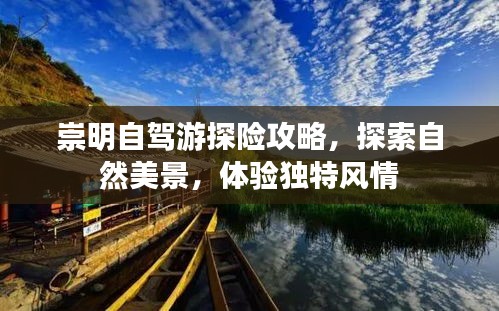 崇明自駕游探險攻略，探索自然美景，體驗獨特風情