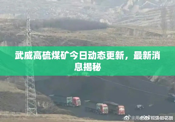 武威高硫煤礦今日動(dòng)態(tài)更新，最新消息揭秘