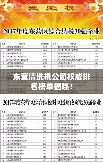 東營清洗機(jī)公司權(quán)威排名榜單揭曉！