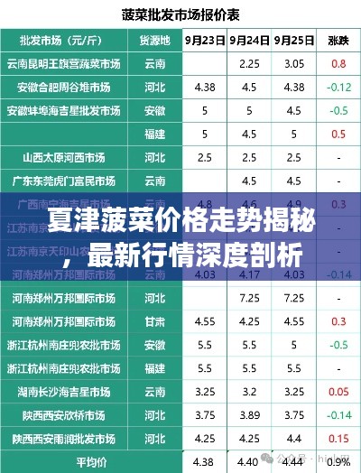 夏津菠菜價格走勢揭秘，最新行情深度剖析