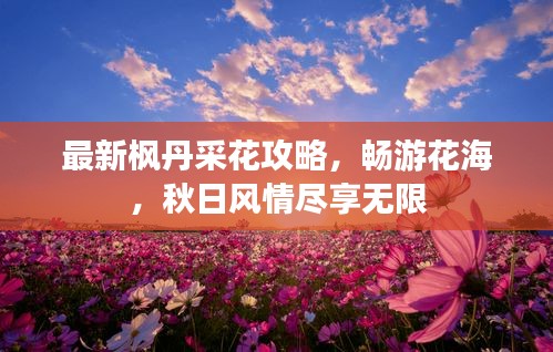 最新楓丹采花攻略，暢游花海，秋日風情盡享無限