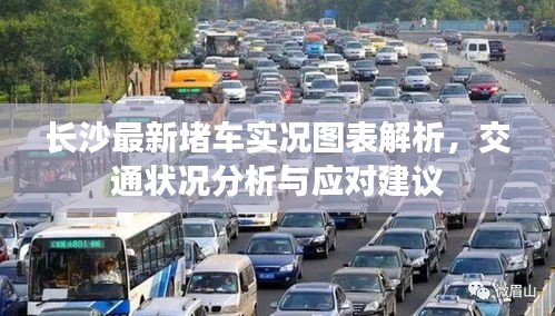 長(zhǎng)沙最新堵車實(shí)況圖表解析，交通狀況分析與應(yīng)對(duì)建議