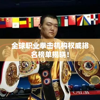 全球職業(yè)拳擊機(jī)構(gòu)權(quán)威排名榜單揭曉！