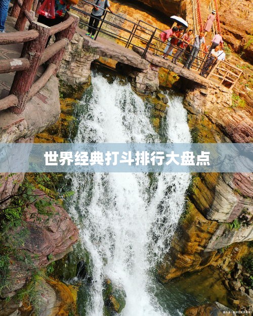 世界經(jīng)典打斗排行大盤點