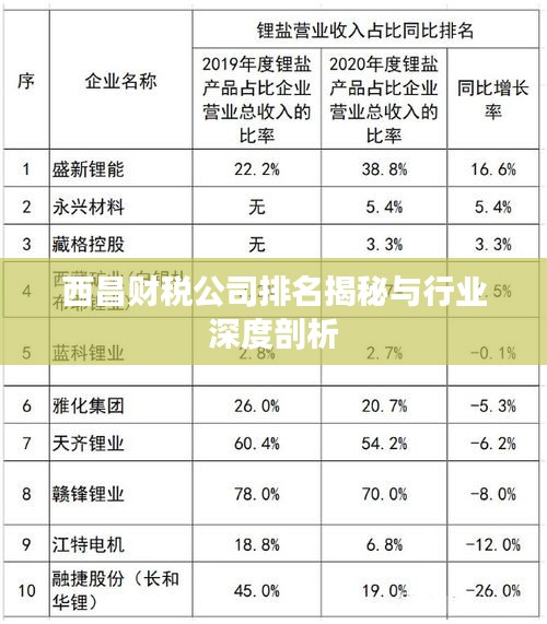 西昌財(cái)稅公司排名揭秘與行業(yè)深度剖析