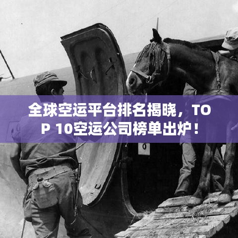 全球空運(yùn)平臺排名揭曉，TOP 10空運(yùn)公司榜單出爐！