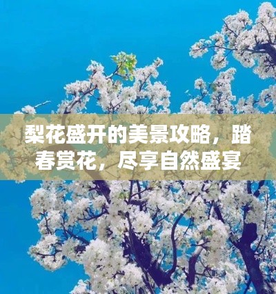 梨花盛開的美景攻略，踏春賞花，盡享自然盛宴！