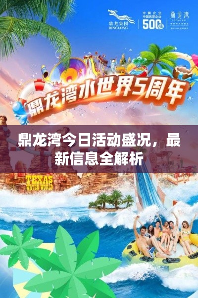 鼎龍灣今日活動(dòng)盛況，最新信息全解析