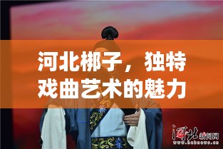 河北梆子，獨特戲曲藝術(shù)的魅力