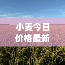 橘虞初夢(mèng) 第2頁(yè)